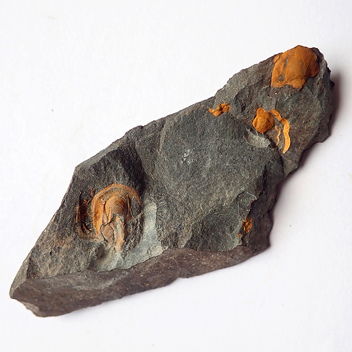 10 mm (sag), Karáskova rokle, 2025